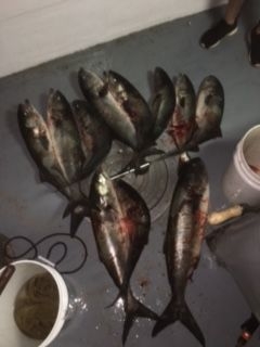 great catches 172 20200324