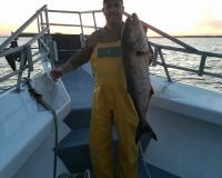great catches 20 20200324