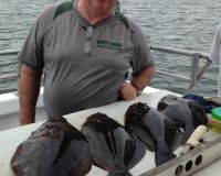 great catches 202 20200324