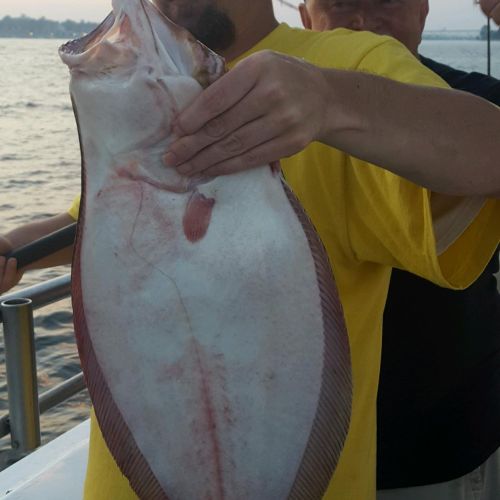 great catches 254 20200324