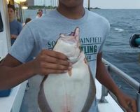 great catches 256 20200324