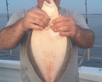 great catches 300 20200324